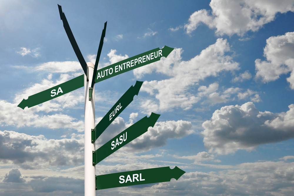 SASU ou auto-entreprise : quel statut choisir ?