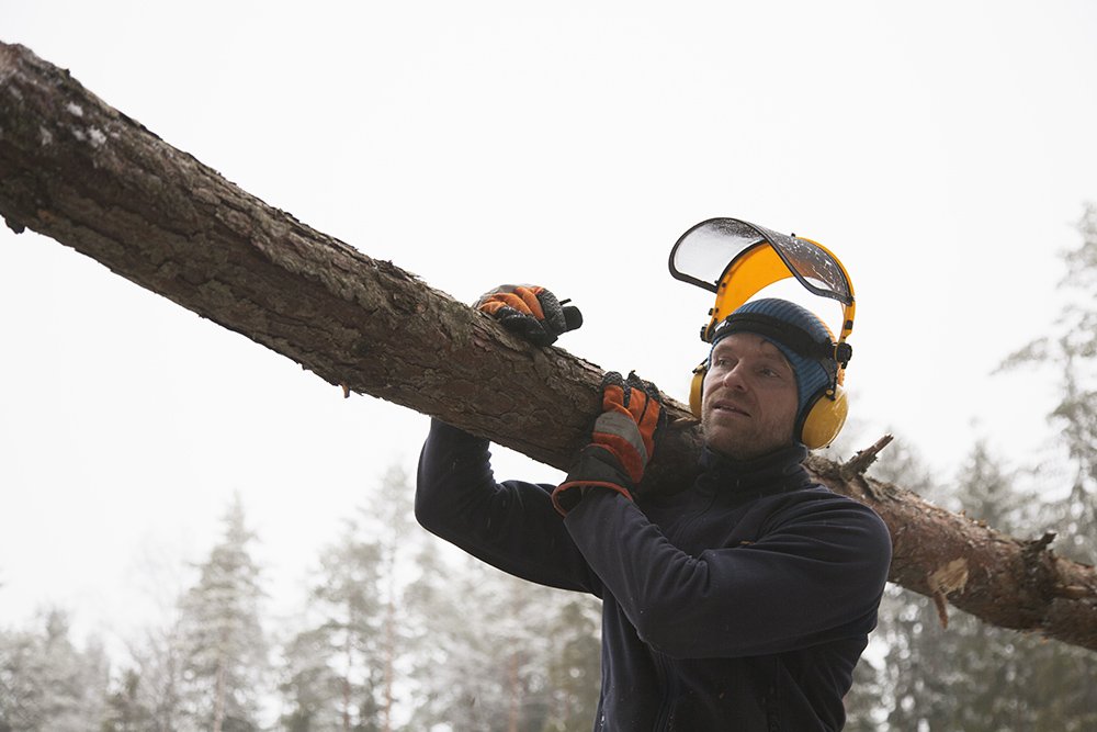 Devenir exploitant forestier ?
